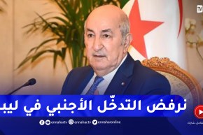 “رئيس الجمهورية :”الجزائر تدين تواصل التدخلات الأجنبية في الشؤون الداخلية لهذا البلد الشقيق