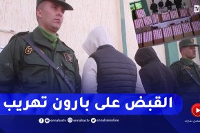 الوادي: الدرك الوطني يحجز قرابة نصف مليون كبسولة نوع بريقابالين 300 ملغ