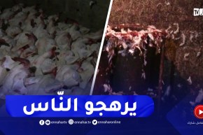 مشاهد صـ.ـادمة وقف عليها أفراد الدرك الوطني ببوسعادة داخل مذبـ.ـح غير شرعي