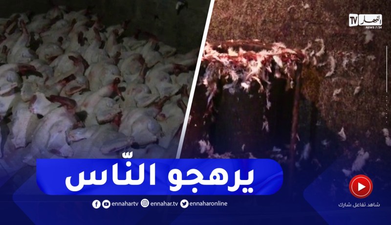 مشاهد صـ.ـادمة وقف عليها أفراد الدرك الوطني ببوسعادة داخل مذبـ.ـح غير شرعي