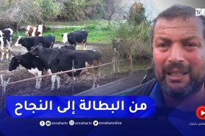 جيجل / يوسف من شاب يواجه شبح البطالة إلى مستثمر ناجح في تربية الأبقار