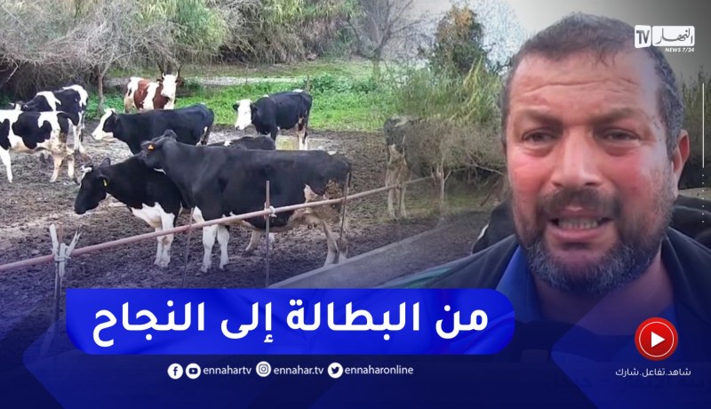 جيجل / يوسف من شاب يواجه شبح البطالة إلى مستثمر ناجح في تربية الأبقار