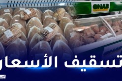 تسقيف أسعار الدجاج بسعر 350 دج للكلغ