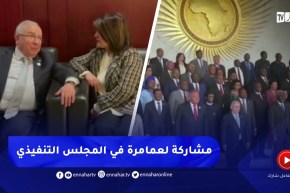 الإتحاد الإفريقي / لعمامرة يشارك في الدورة الـ42 للمجلس التنفيذي