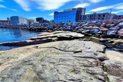 نقوش صخرية في جيجل تثيرا جدلا كبيرا ومديرية الثقافة توضح