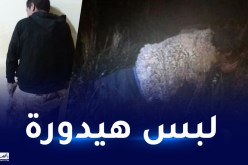 سجين يحاول الهرب منتحلًا هيئة خروف!