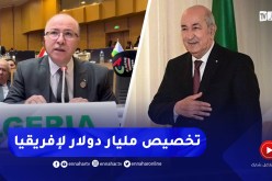 “رئيس الجمهورية :” تخصيص مليار دولار لتمويل مشاريع تنموية في البلدان الافريقية