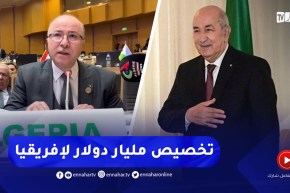 “رئيس الجمهورية :” تخصيص مليار دولار لتمويل مشاريع تنموية في البلدان الافريقية