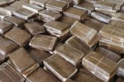 برج بوعريريج : حجز 22 كيلوغرام من المخدرات