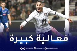 بالفيديو.. شعيبي هدافا ويقود تولوز للتأهل إلى الدور المقبل من كأس فرنسا