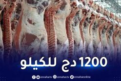 استيراد أكثر من 20 ألف طن من اللحوم الحمراء لخفض الأسعار خلال شهر رمضان