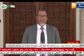 رئيس الجمهورية عبد المجيد تبون يستقبل بمقر رئاسة الجمهورية حفيد الزعيم نيلسون مانديلا