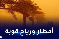 أمطار رعدية ورياح قوية على الولايات الجنوبية