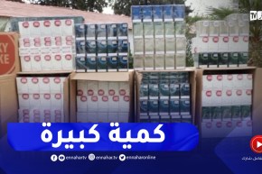 احباط تمرير أكثر من 33 الف علبة سجائر من وهران إلى تموشنت