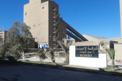 باتنة: 12 مليون دولار صادرات شركة إسمنت عين التوتة في 2022