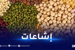 وزارة التجارة.. كل أنواع الحبوب الجافة ستكون متوفرة
