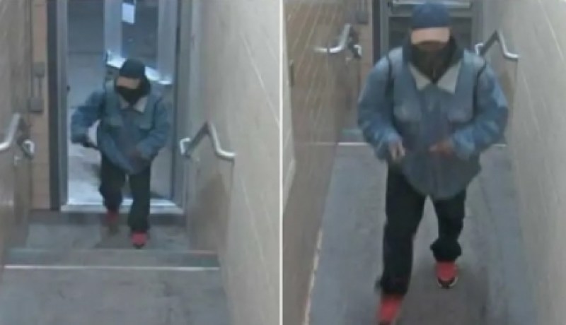 أمريكا: 3 قتلى و5 جرحى في إطلاق نار داخل الحرم الجامعي بميشيغان