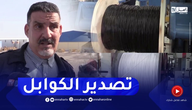إنتاج الكوابل والمحولات الكهربائية.. تحدي لتغطية السوق المحلية والتصدير بغليزان