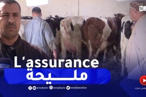 التأمين الفلاحي.. ضرورة للفلاح لتأمين ممتلكاته وضمان استمرارية نشاطه بغليزان