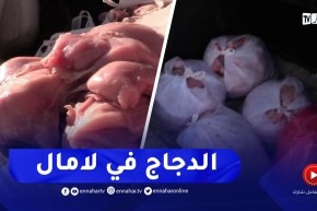 “شاهد..قنطار و25 كغ من اللحوم البيضاء تنقل في “لامال