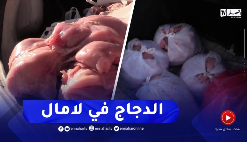 “شاهد..قنطار و25 كغ من اللحوم البيضاء تنقل في “لامال
