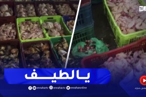 درك تقرت يحجزكمية من اللحوم الفاسدة وغير صالحة للأكل موجهة للمواطنين