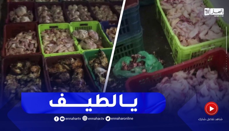 درك تقرت يحجزكمية من اللحوم الفاسدة وغير صالحة للأكل موجهة للمواطنين