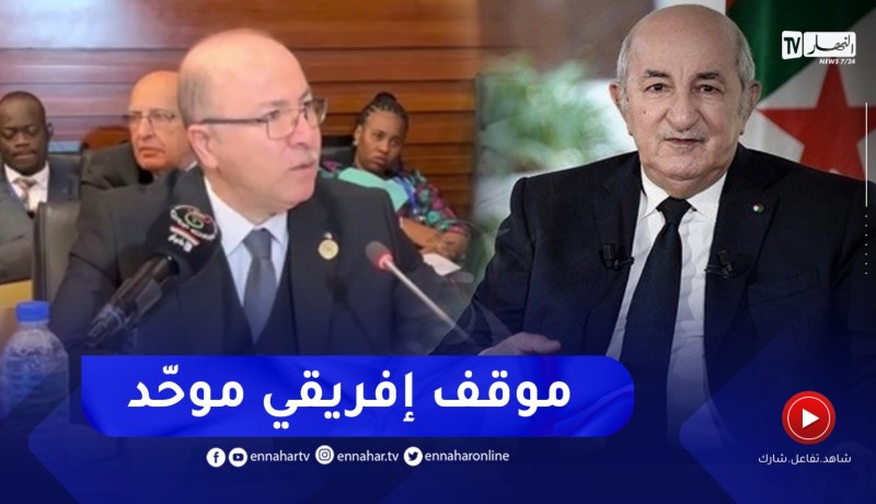 رئيس الجمهورية : أثمّن روح التعاون المستمر و التنسيق المثمر للدول الإفريقية لإسماع الصوت الإفريقي