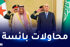 السعودية.. حسابات مجهولة تأجج الفتن بين الشعب الجزائري والسعودي