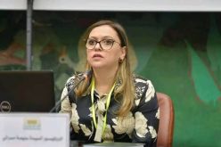 رئيسة السلطة العليا للشفافية والوقاية من الفساد ومكافحته تقوم بزيارة إلى مصر