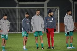 الفاف تكشف برنامج الخضر في آخر تحضيراتهم لنهائي الشان