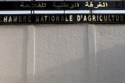 بسكرة: تجميد استخراج شهادة عدم التسجيل في السجل الفلاحي