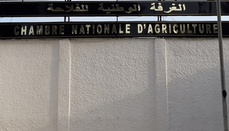 بسكرة: تجميد استخراج شهادة عدم التسجيل في السجل الفلاحي