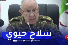 الفريق شنقريحة في زيارة عمل وتفقد إلى المدرسة العليا للإشارة بالقليعة