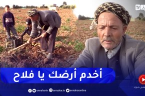 غليزان: العاقب .. فلاح تعلق بخدمة الأرض رغم قلة الإمكانيات