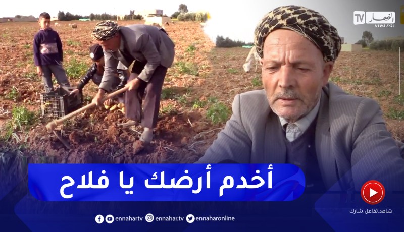 غليزان: العاقب .. فلاح تعلق بخدمة الأرض رغم قلة الإمكانيات