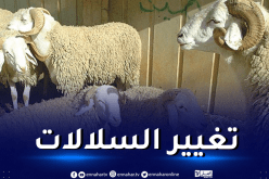 تربية المواشي.. رئيس الجمهورية يدعو إلى دراسة إمكانية تغيير السلالات