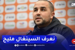 “بوقرة :”نعرف السنغال جيدا والمباراة ستكون قوية وستلعب على جزئيات