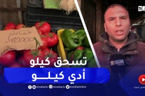 المدية : خلايا اليقضة حفاظا على استقرار الأسعار وتوفير السلع خلال الشهر الفضيل