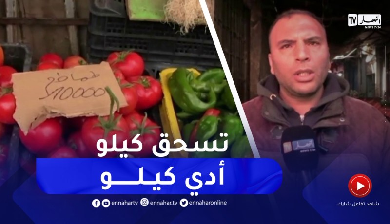 المدية : خلايا اليقضة حفاظا على استقرار الأسعار وتوفير السلع خلال الشهر الفضيل