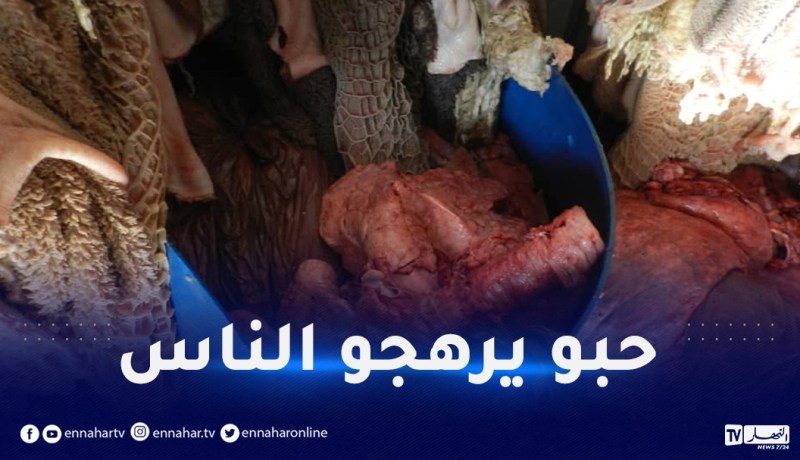 حجز قرابة “طن” من أحشاء الأبقار الفاسدة الموجهة للتسويق