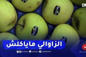 خنشلة : ارتفاع لافت لأسعار التفاح الفلاح يشتكي والتاجر يتبرأ