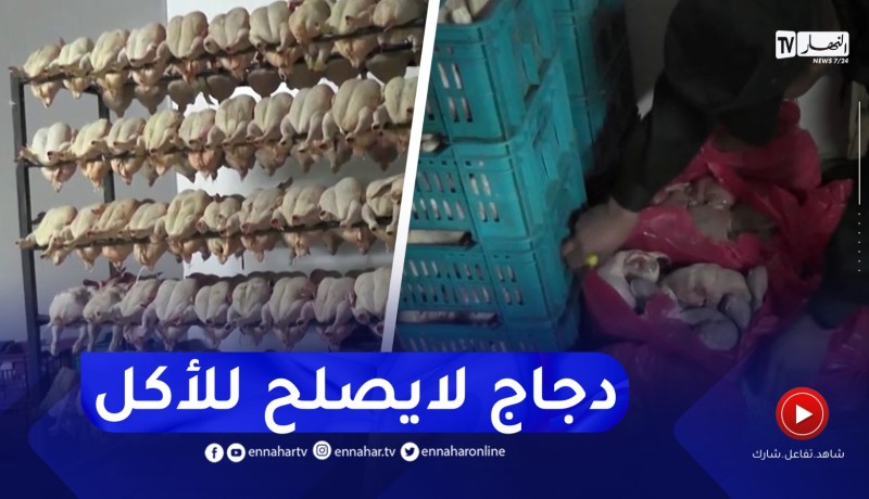 بومرداس : الدرك الوطنى مداهمة مستودعات غير مرخصة لذبـ.ـح الدجاج وتخزينه