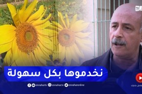 نحو خوض تجربة زراعة دوار الشمس.. هذه التحفيزات
