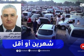 خبير دولي في السيارات : هذا هو الوقت الذي يستغرقه المواطن في عماية إستيراد سيارة أقل من 3 سنوات