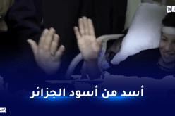 بطل حادث البويرة.. أنقذ عائلته وطمأن والدته بطريقة ذكية