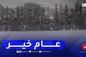 خنشلة : تساقط كثيف للثلوج..ومرتفعات بوحمامة تكتسي الحلة البيضاء