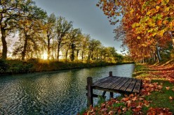  عاملناه بأصلنا فخان فعاملناه بأصله فصان