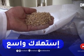 معسكر: إنتاج أغذية الأنعام..مساعي لتوفير المنتوج محليا بنوعية جيدة