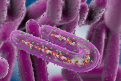 يقتل 90 بالمئة من المرضى.. كل ما تريد معرفته عن فيروس ماربورغ المرعب